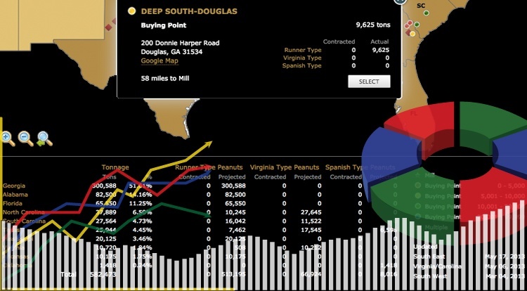 Business-Reports