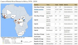 interactive world maps