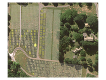 Centerbrook Cemetery Map