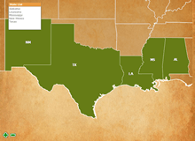 USA States & Counties