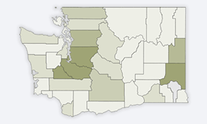 Washington State & Counties